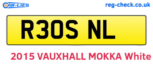 R30SNL are the vehicle registration plates.