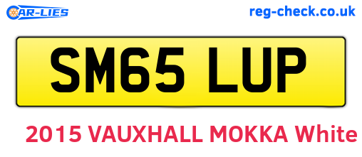 SM65LUP are the vehicle registration plates.