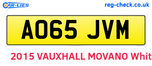 AO65JVM are the vehicle registration plates.
