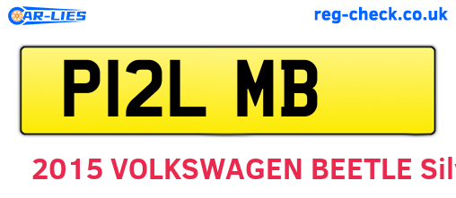 P12LMB are the vehicle registration plates.