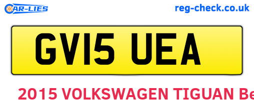 GV15UEA are the vehicle registration plates.
