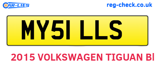 MY51LLS are the vehicle registration plates.