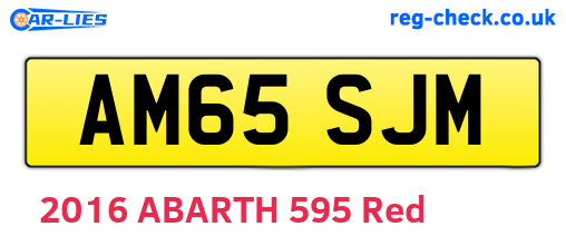 AM65SJM are the vehicle registration plates.