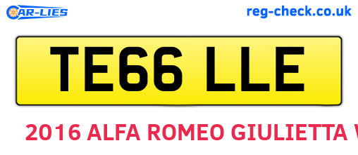 TE66LLE are the vehicle registration plates.