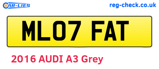 ML07FAT are the vehicle registration plates.