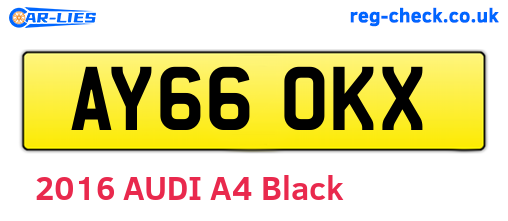 AY66OKX are the vehicle registration plates.