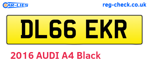 DL66EKR are the vehicle registration plates.