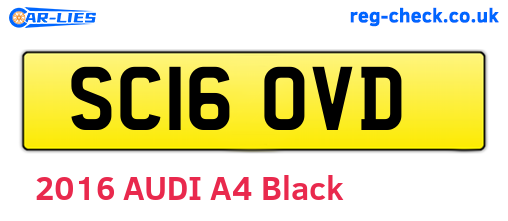 SC16OVD are the vehicle registration plates.