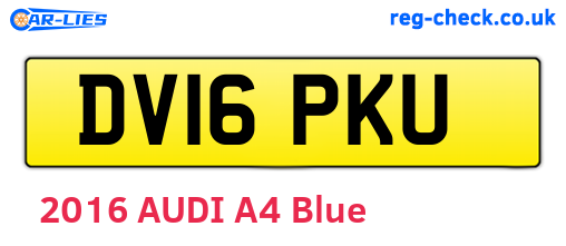 DV16PKU are the vehicle registration plates.