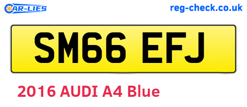 SM66EFJ are the vehicle registration plates.