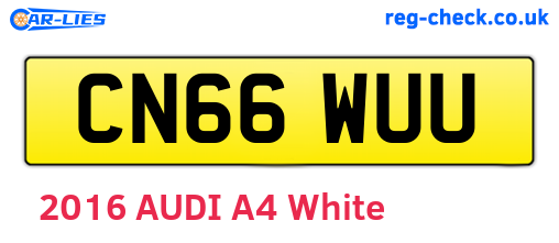 CN66WUU are the vehicle registration plates.