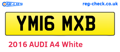YM16MXB are the vehicle registration plates.