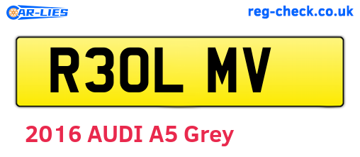 R30LMV are the vehicle registration plates.
