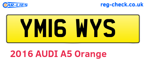 YM16WYS are the vehicle registration plates.