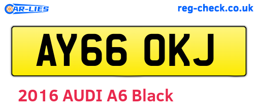 AY66OKJ are the vehicle registration plates.
