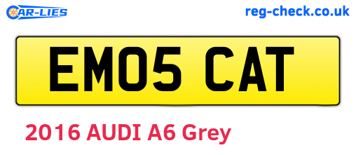 EM05CAT are the vehicle registration plates.