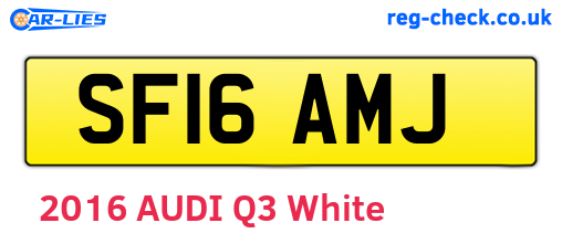 SF16AMJ are the vehicle registration plates.