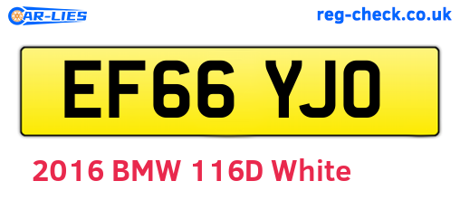 EF66YJO are the vehicle registration plates.