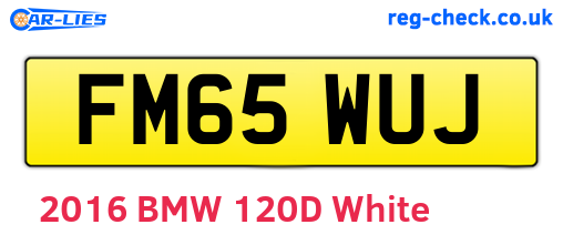 FM65WUJ are the vehicle registration plates.
