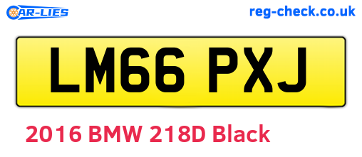 LM66PXJ are the vehicle registration plates.