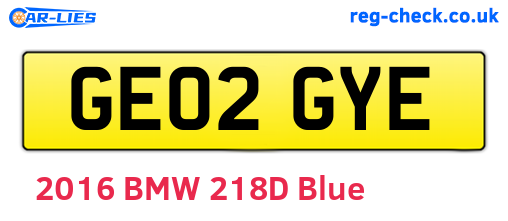 GE02GYE are the vehicle registration plates.