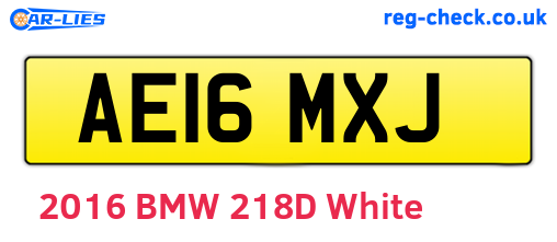 AE16MXJ are the vehicle registration plates.