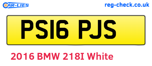 PS16PJS are the vehicle registration plates.
