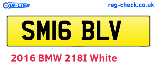 SM16BLV are the vehicle registration plates.