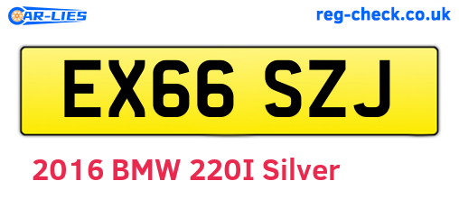 EX66SZJ are the vehicle registration plates.