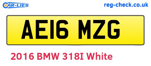 AE16MZG are the vehicle registration plates.
