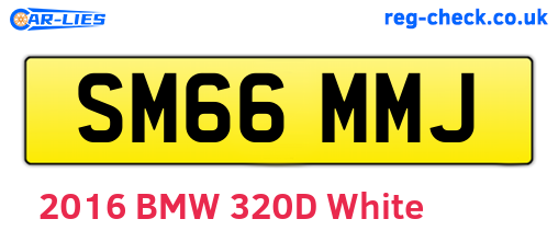 SM66MMJ are the vehicle registration plates.