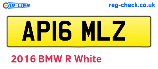 AP16MLZ are the vehicle registration plates.