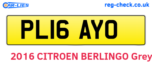 PL16AYO are the vehicle registration plates.