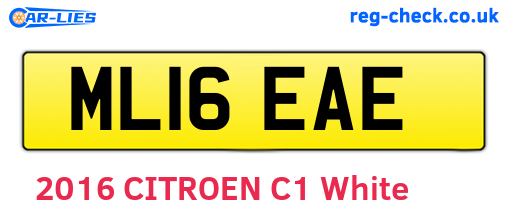 ML16EAE are the vehicle registration plates.
