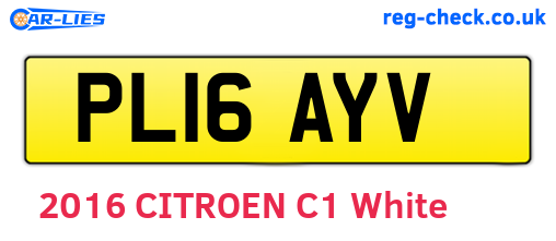 PL16AYV are the vehicle registration plates.