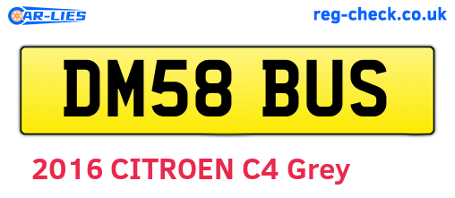 DM58BUS are the vehicle registration plates.