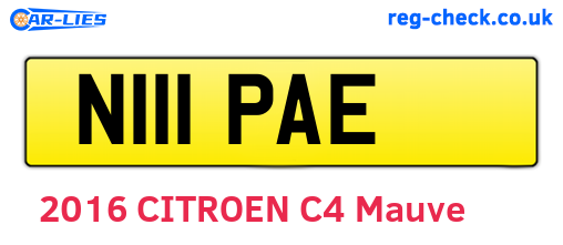 N111PAE are the vehicle registration plates.