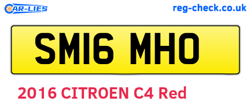 SM16MHO are the vehicle registration plates.