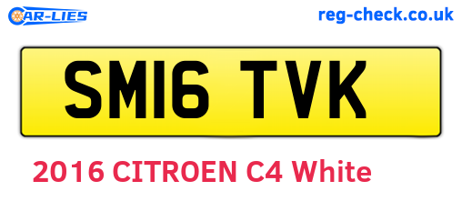 SM16TVK are the vehicle registration plates.
