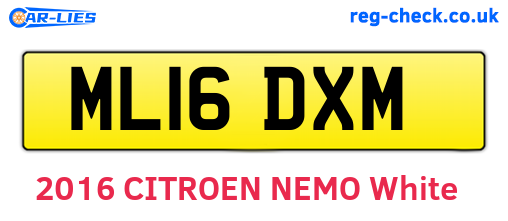 ML16DXM are the vehicle registration plates.