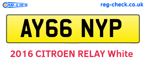 AY66NYP are the vehicle registration plates.