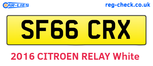 SF66CRX are the vehicle registration plates.