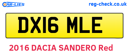 DX16MLE are the vehicle registration plates.