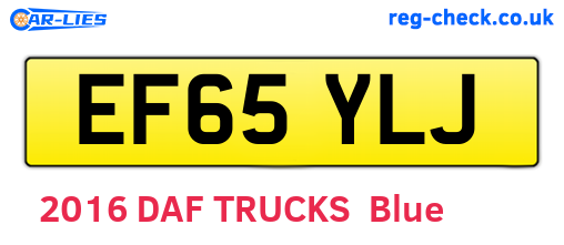 EF65YLJ are the vehicle registration plates.