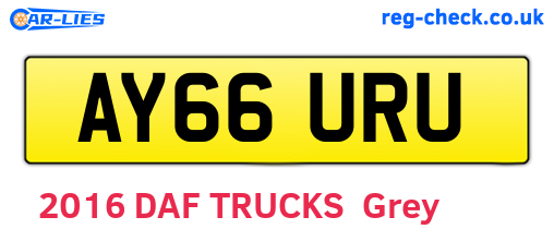 AY66URU are the vehicle registration plates.