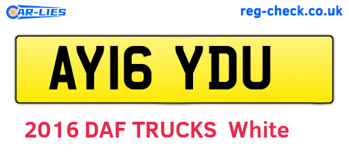 AY16YDU are the vehicle registration plates.