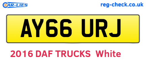 AY66URJ are the vehicle registration plates.