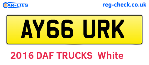 AY66URK are the vehicle registration plates.