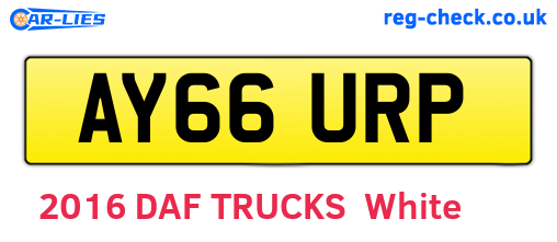 AY66URP are the vehicle registration plates.