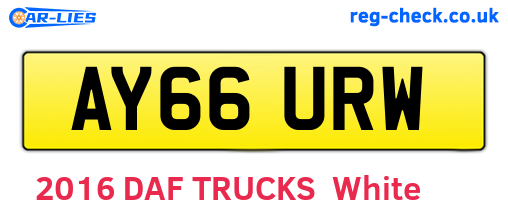 AY66URW are the vehicle registration plates.